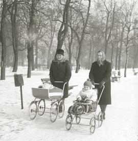 Zimowy spacer w parku