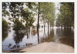 Powódź w Bystrzycy