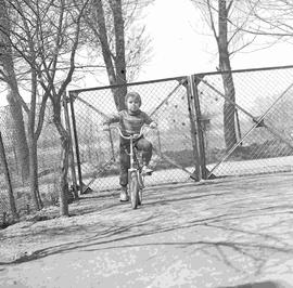 Dziecko na rowerze