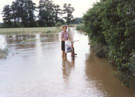Powódź na Psim Polu