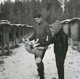 Ferma zwierząt futerkowych
